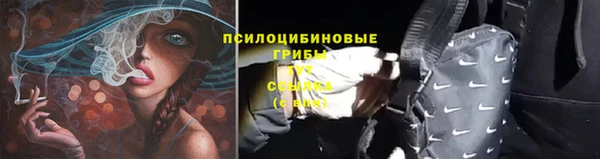 амф Богородицк
