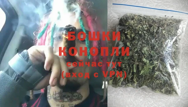 шишки Богданович