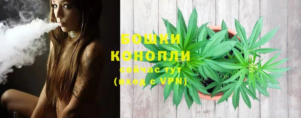 амф Богородицк