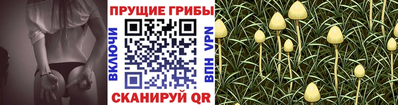 Купить  Сердобск  Псилоцибиновые грибы мухоморы 